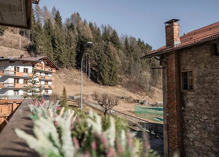 Ciasa Delfa - Dolomiti Appartement Lozzo Cadore