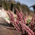 公寓 Ciasa Delfa - Dolomiti