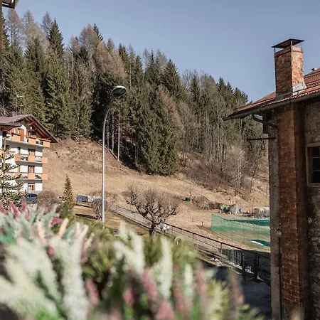 Ciasa Delfa - Dolomiti Daire Lozzo Cadore